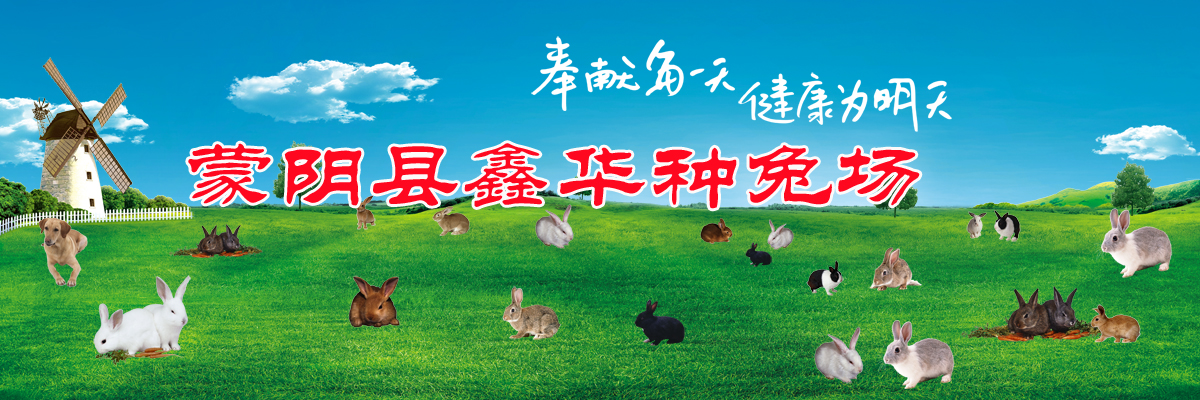 兔子b51760c===.jpg